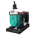 25KVA Backup Power Generator Gaz Propan